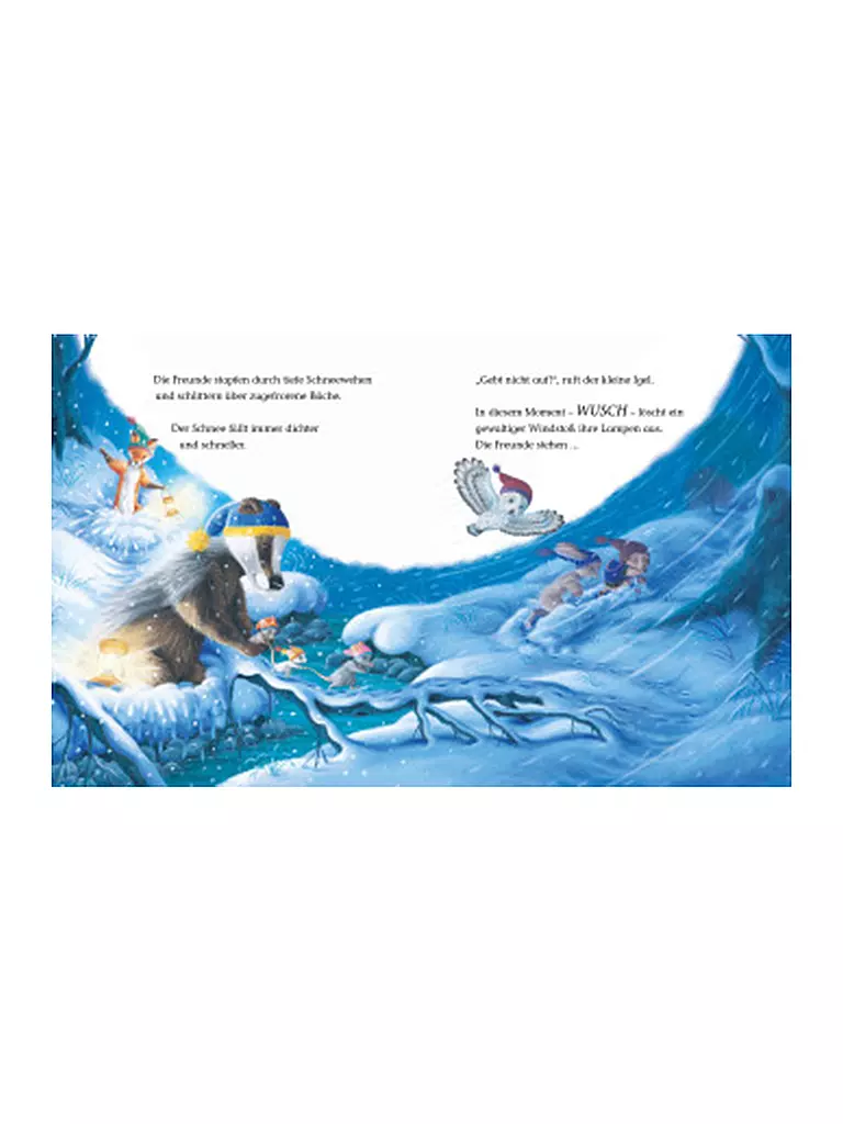 BRUNNEN VERLAG Buch - Der kleine Igel und das besondere Weihnachtsgeschenk keine Farbe