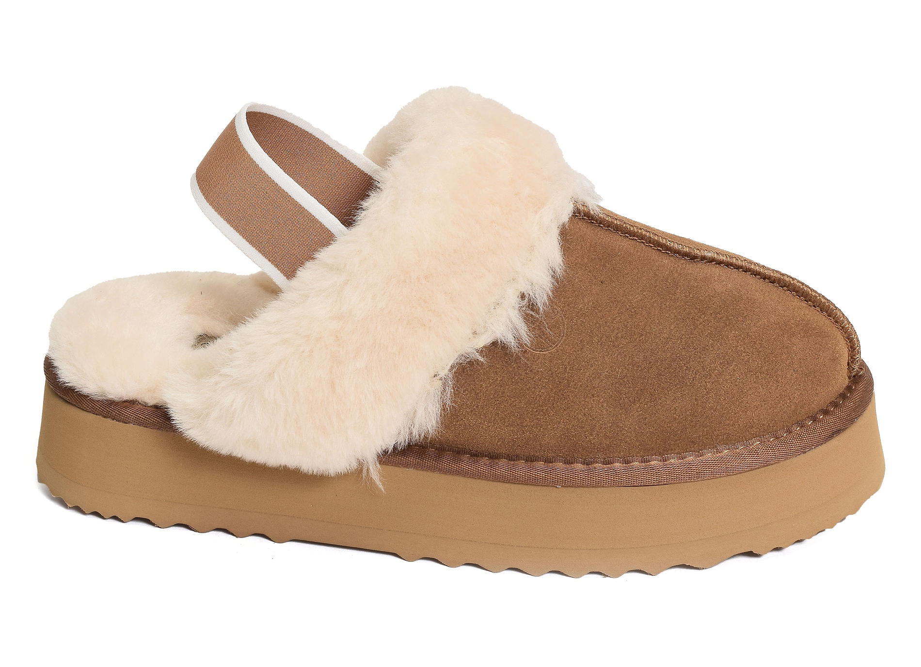 K21218 camel