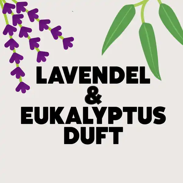 Colorwaschmittel Pulver Lavendel & Eukalyptus 18 WL