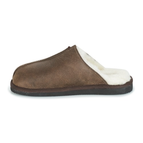 Shepherd - HUGO - Marron