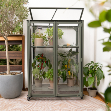 Royal Well Urban Grower Medium