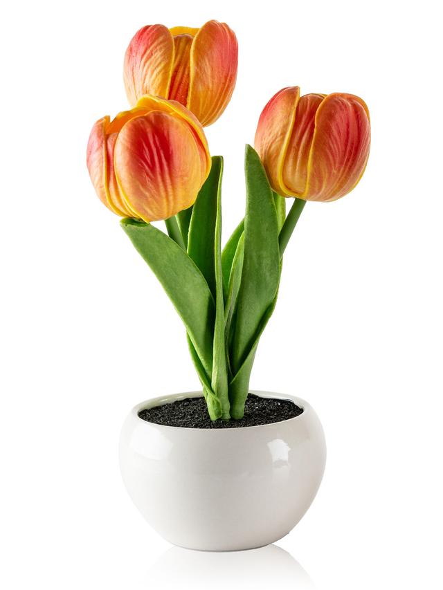 LED Tulpen 3er-Set – Dekolicht in Pink, Orange & Gelb