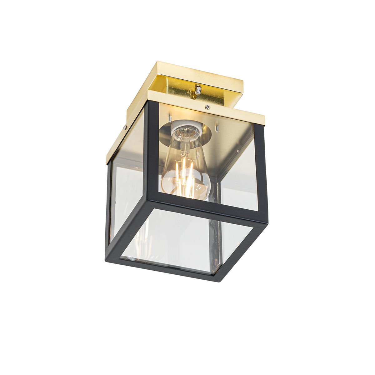 Industriële buiten plafondlamp zwart met goud - Rotterdam