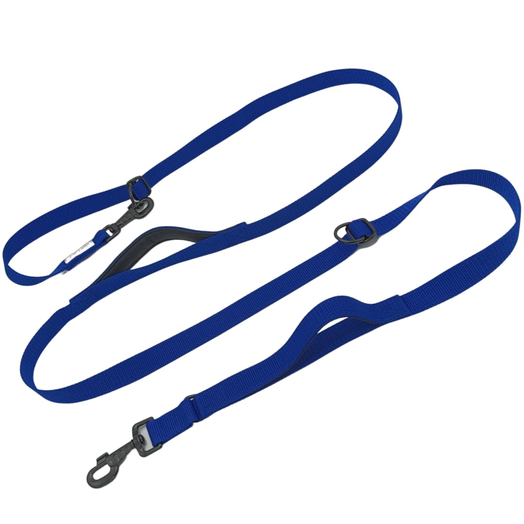 EGV - Guia para cães com múltiplas posições e alça dupla de neoprene. Guia para cães que permite o uso com as mãos livres, com 2,5 metros de comprimento. (Azul Elétrico)