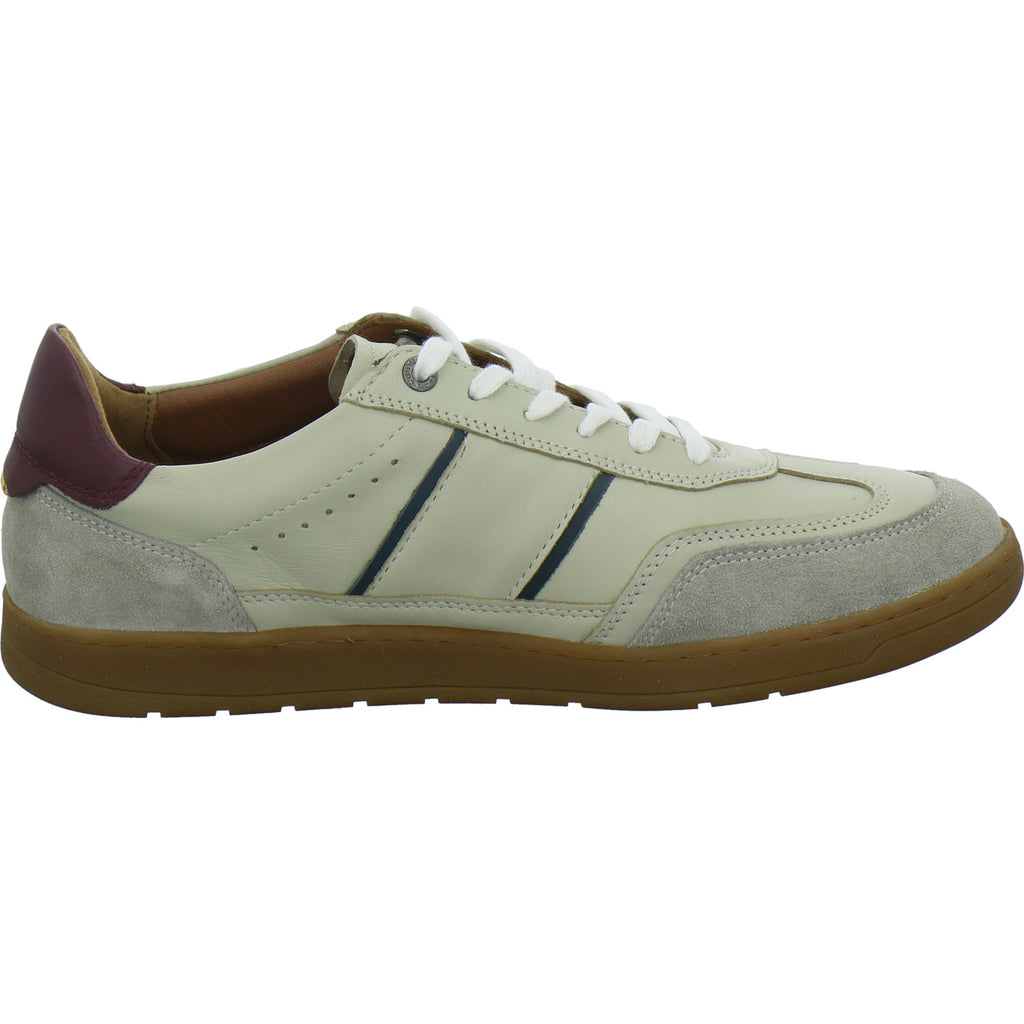 camel active Sneaker Herren Breeze Beige-kombi