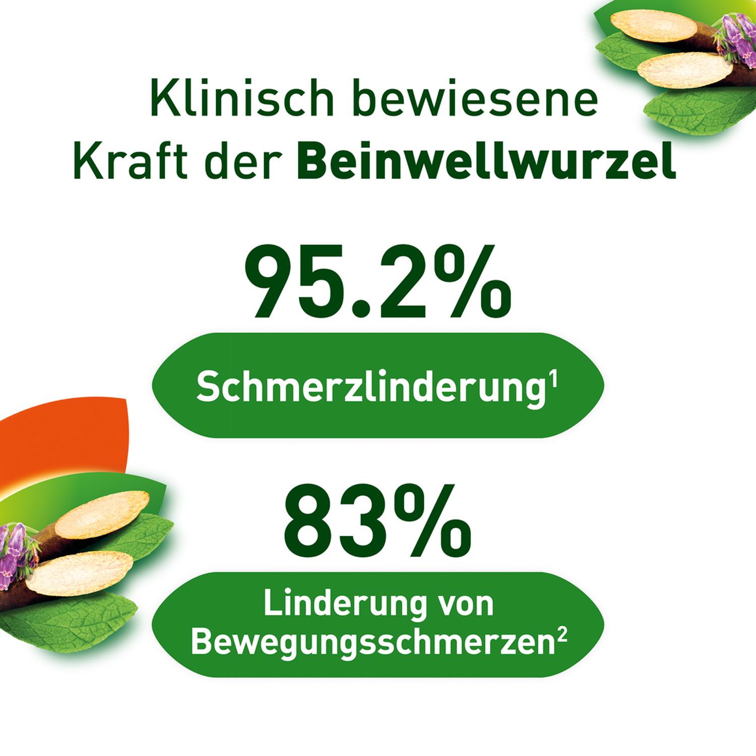 Kytta® Schmerzsalbe
