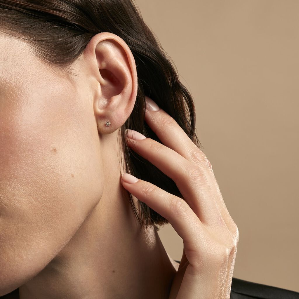 Boucles D'oreilles Puces Flovia Or Jaune Oxyde De Zirconium