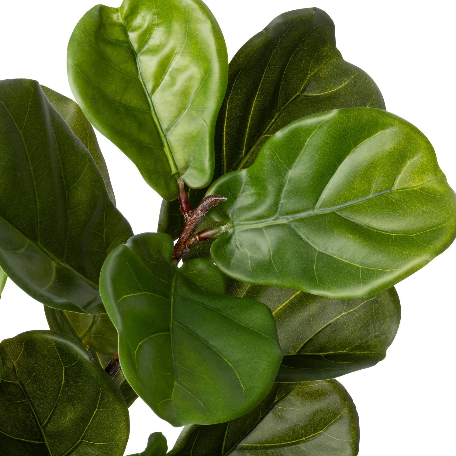 Intratuin kunstplant Vioolbladplant groen 50 x 60 x 125 cm