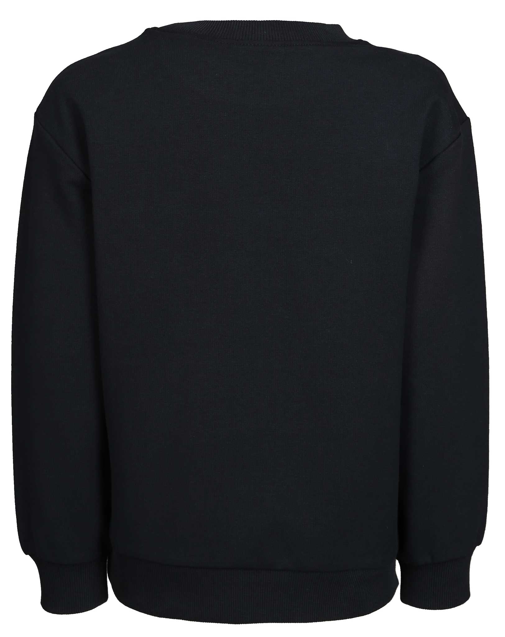Sweatshirt WILHELM in navy