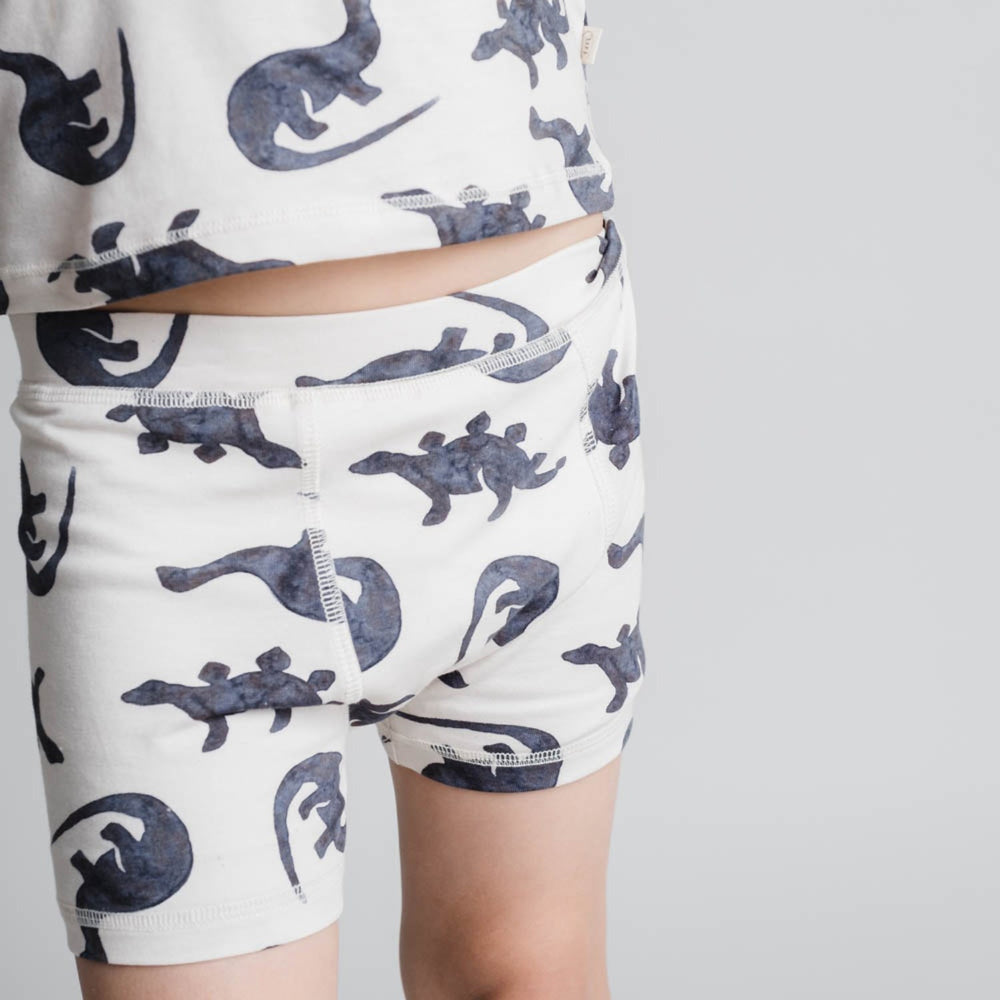 Køb That's Mine Mono Dino Ebbe Boxershorts 2-Pak