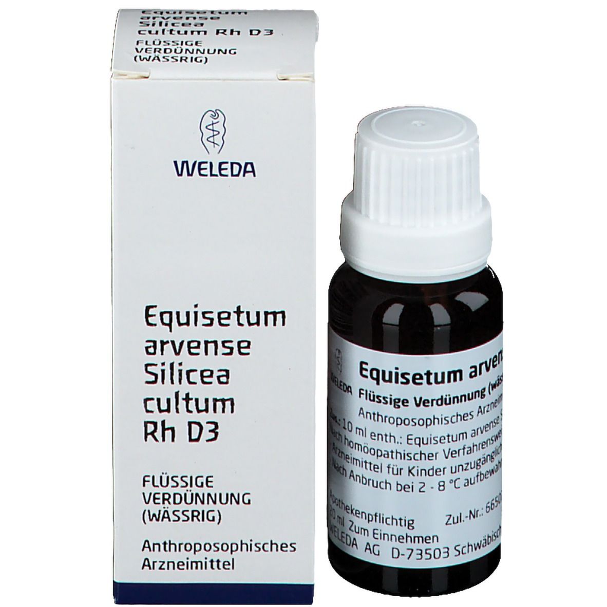 Equisetum Arvense Silicea Cultum Rh D3