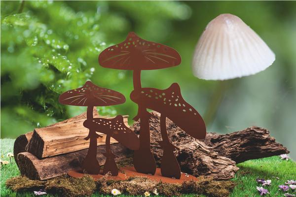 Ferrum Rost-Fliegenpilz