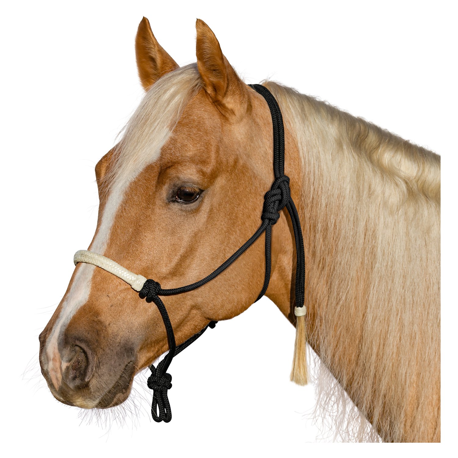 L-pro West Knotenhalfter mit Rohhaut  - black