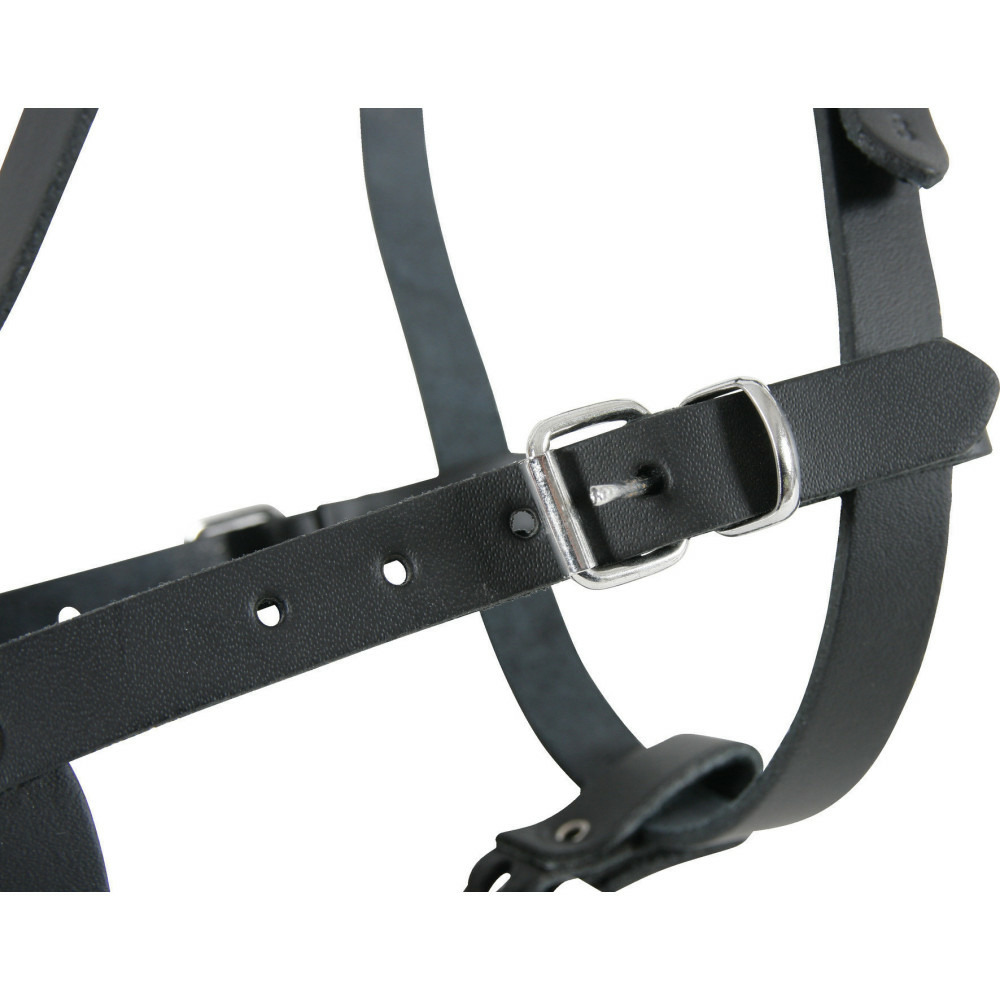 Muselière police noire, taille 8, convient pour les dogues allemands.