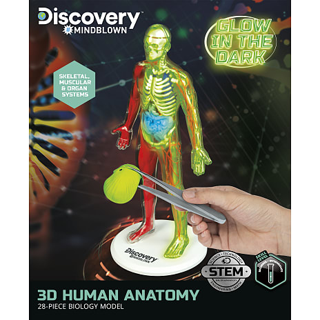 Discovery Mindblown 3D menneskelig anatomi
