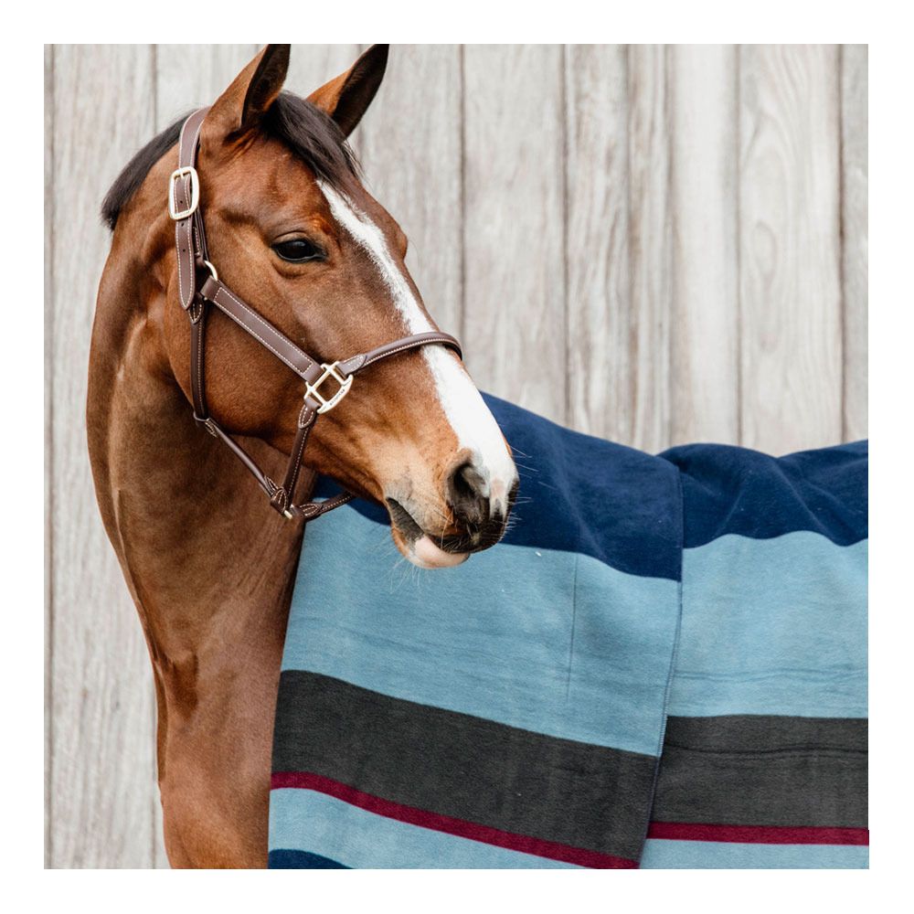 Kentucky HEAVY FLEECE 210X200 cm - Chemise séchante navy/grey