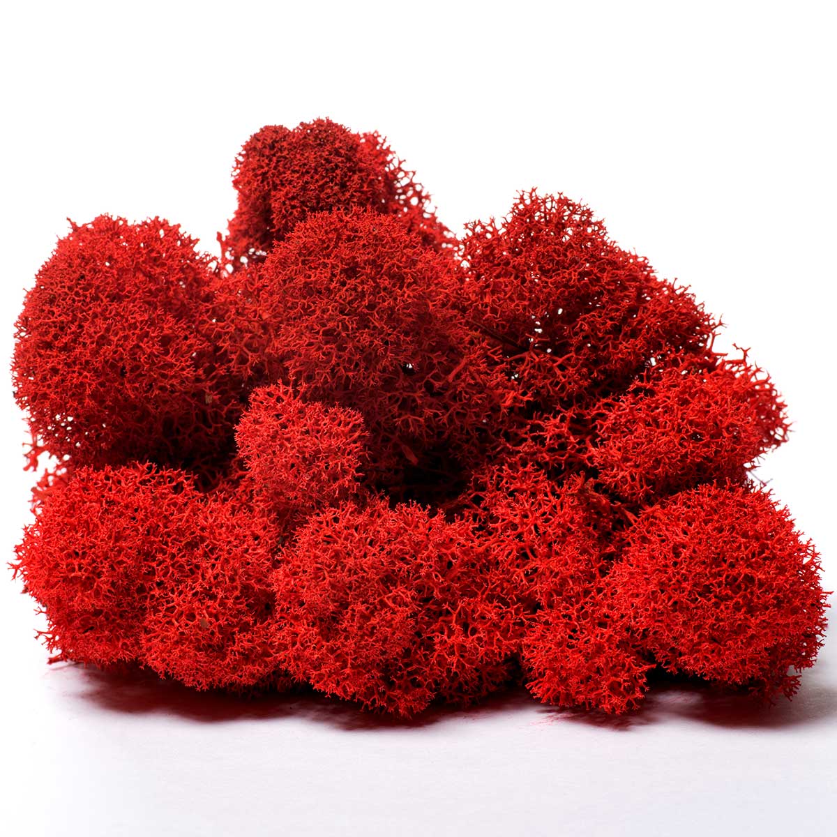Lir/4057 lichen stabilisée rouge box 4 kg