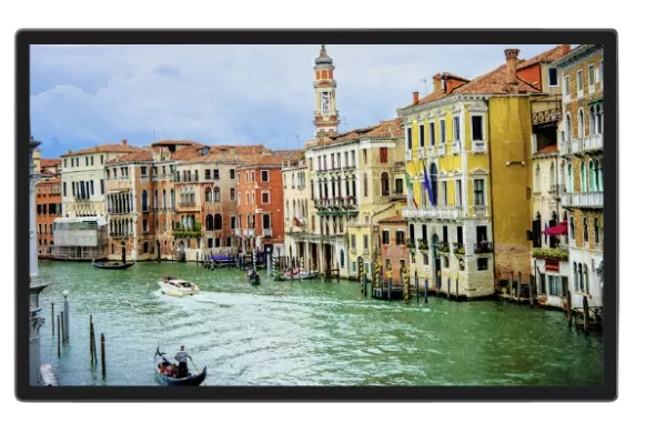 Braun DigiFrame 240 Business Line - Digital fotoramme - 24