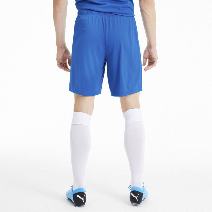 Puma Teamgoal 23 Knit shorts Blå