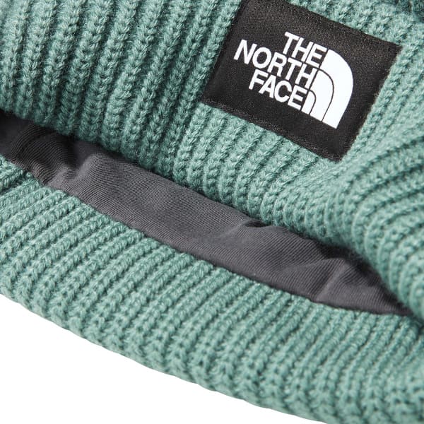 Bonnet ski THE NORTH FACE SALTY DOG BEANIE DARK SAGE