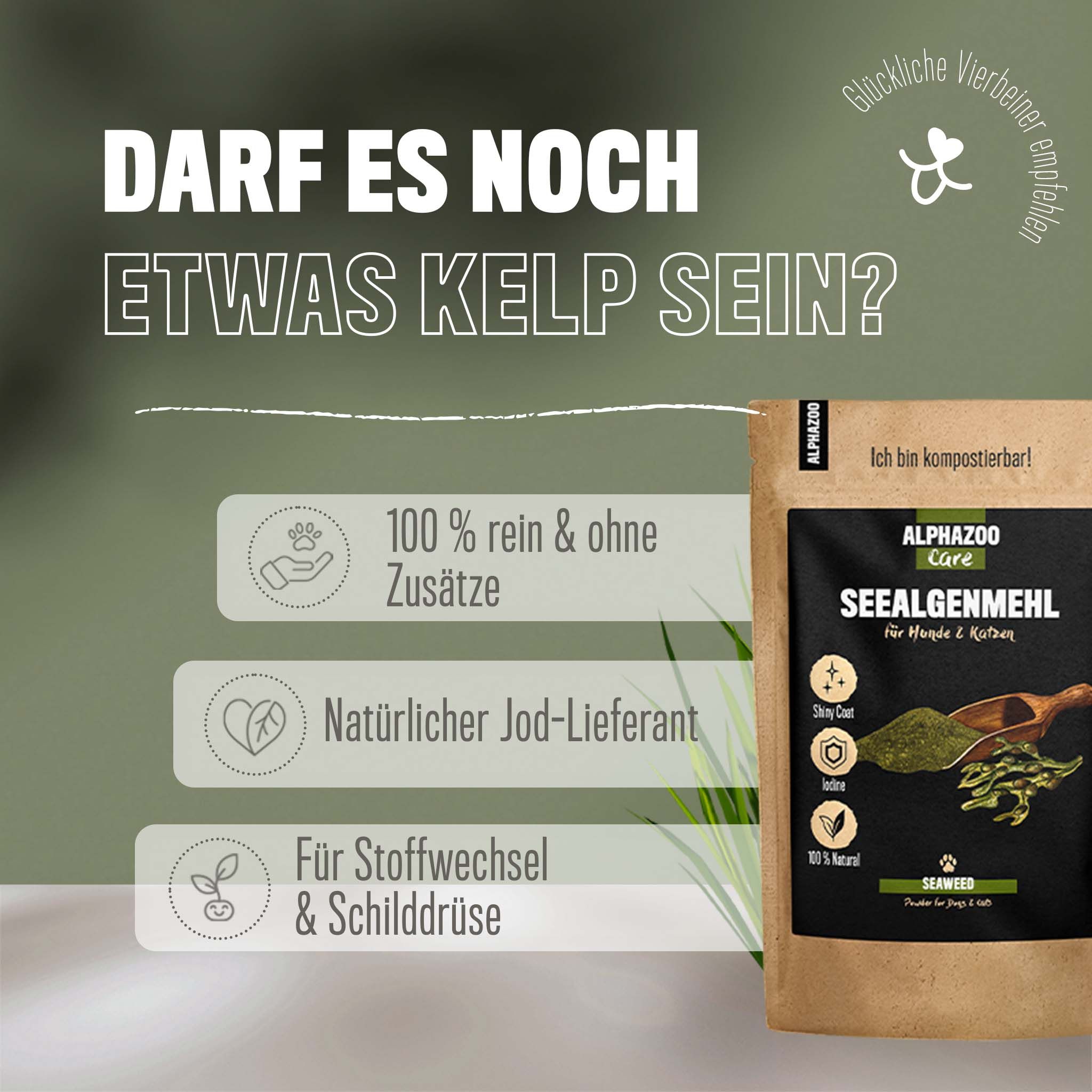 ALPHAZOO Seealgenmehl für Hunde und Katzen