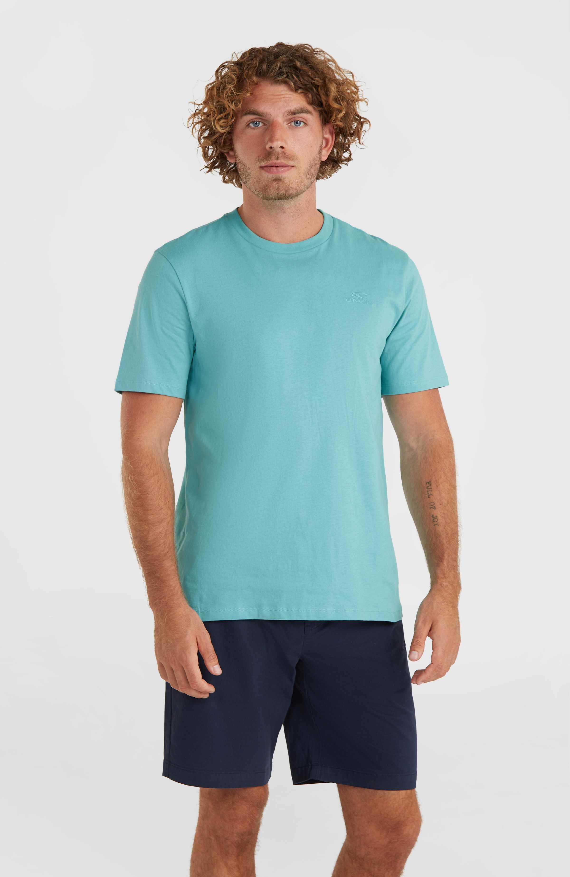 Small Logo T-shirt O`Neill Turkoois