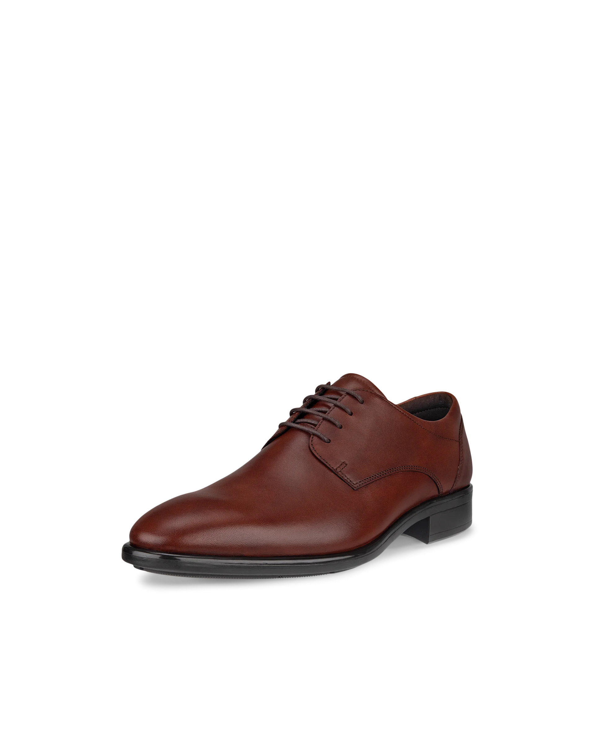 ECCO CITYTRAY Herren Derbyschuhe aus Leder Braun