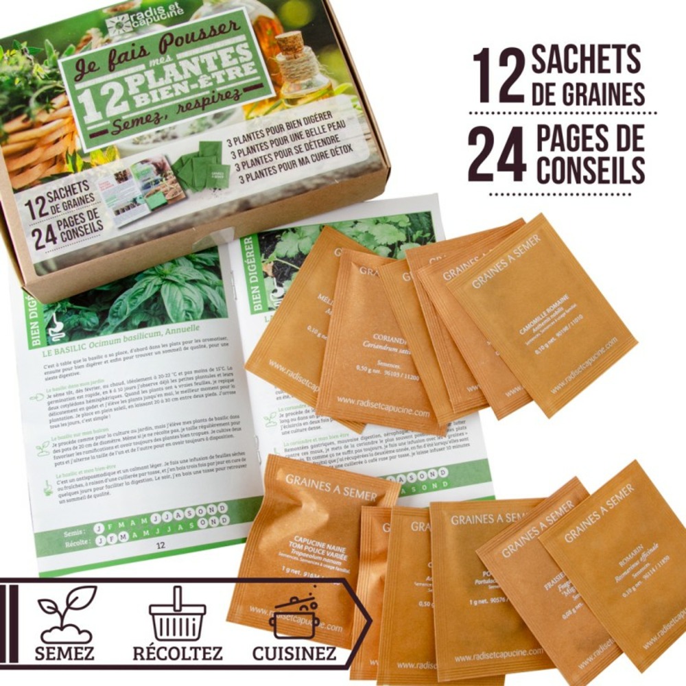 Coffret 12 graines plantes de bien-être