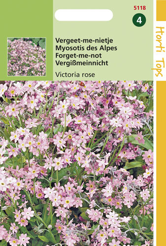 Hortitops Vergeet-Me-Nietje Victoria Rose - Bloemzaden