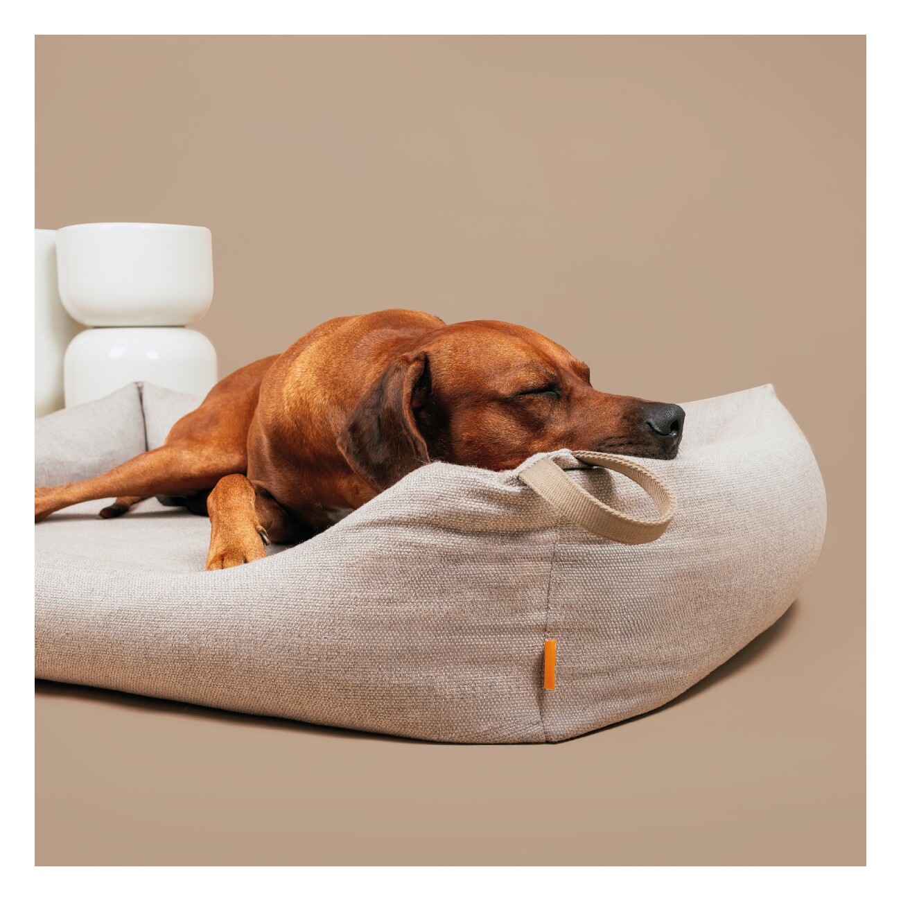 Rudelkönig Hundbett Koye orthopädisch - mit Memory Foam, robust & waschbar beige/ grau S