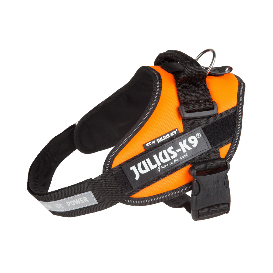 Coleira Julius K9 IDC UV para cães, laranja