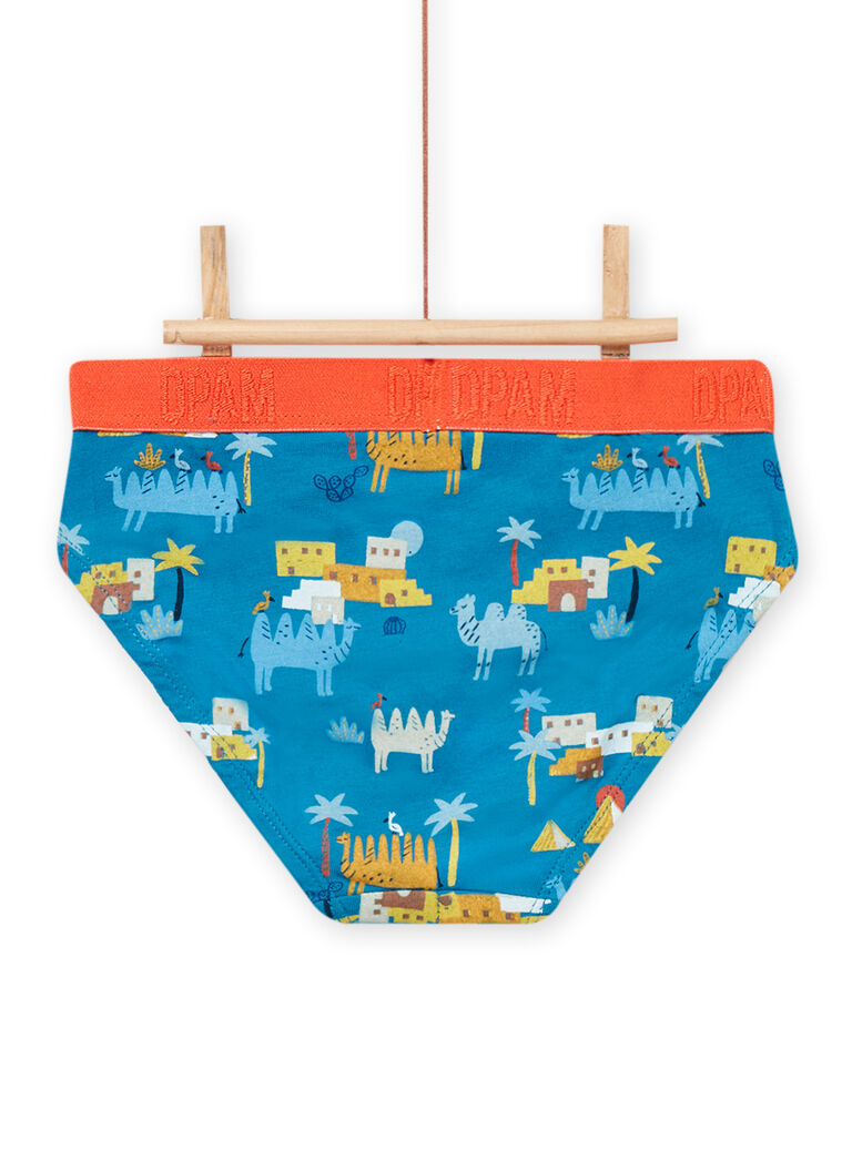Lot de 3 slips assortis enfant garçon