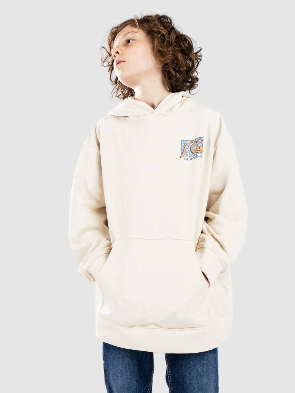 Quiksilver Drybridge Kids Hoodie birch