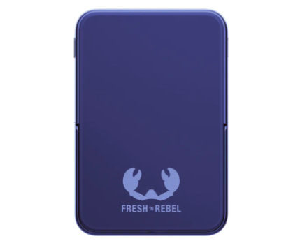 (20W) 5000mAh Dual USB C Powerbank Power Delivery Ladegerät   Kickstand (2PBM5000TB) - True Blue