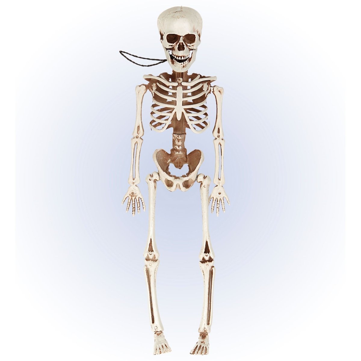 Halloween Skelet Beweegbaar 40cm