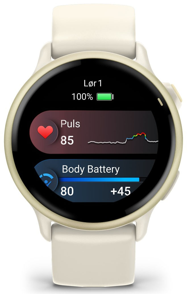 Vivoactive 6 Bone/Lunar Gold