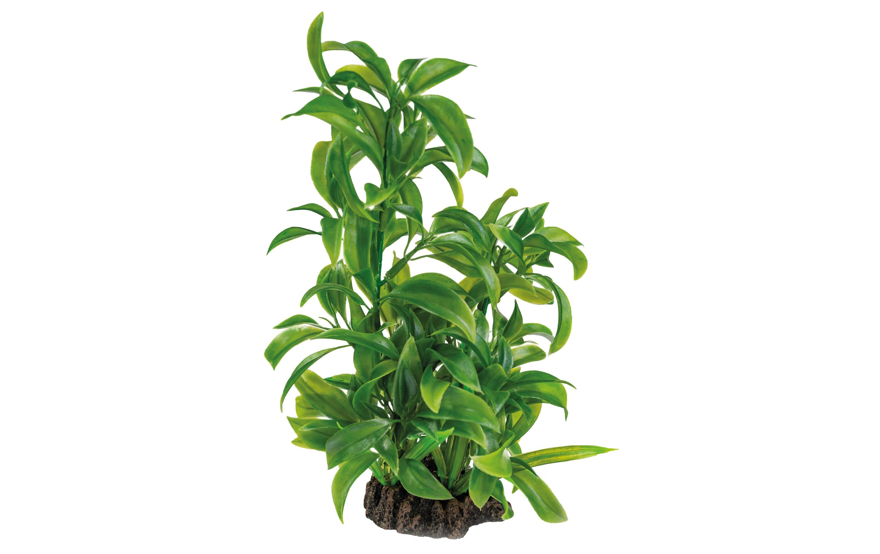 Kunstpflanze Dracaena, 25 cmWunderschöne, realistisch aussehende Kunstpfanze