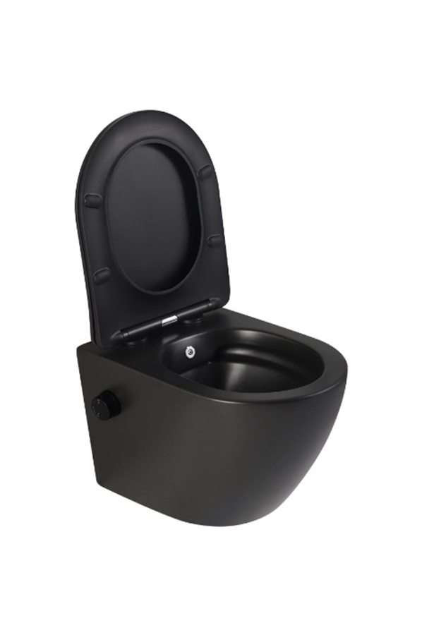 DTG Livorno douche wc met softclose zitting zwart mat