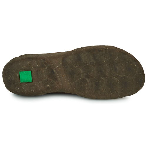 El Naturalista - TURTLE - Marron