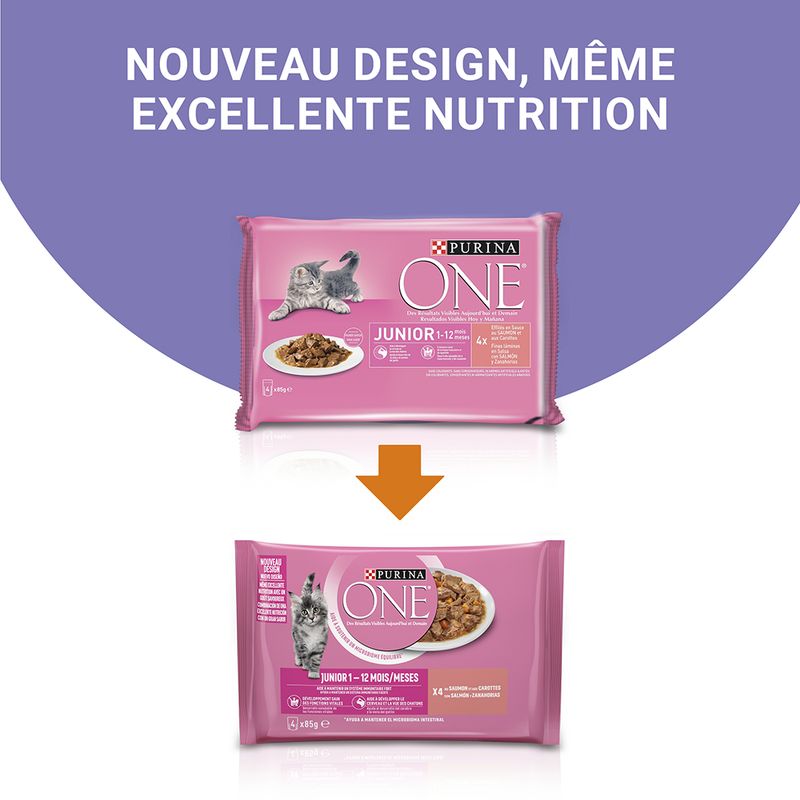 PURINA ONE Junior, saumon & carottes