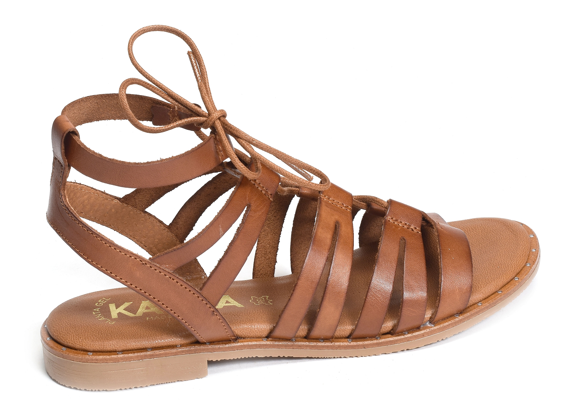 795 camel