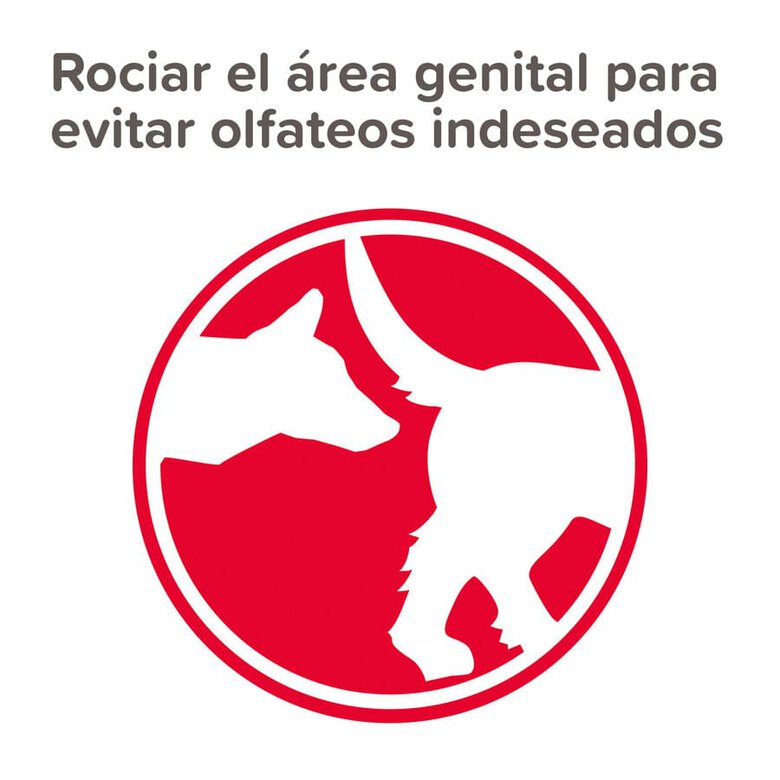 Spray anti-calor Beaphar para cadelas