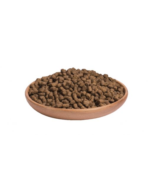 Wellness Core Grain Free Kitten - Kattenvoer