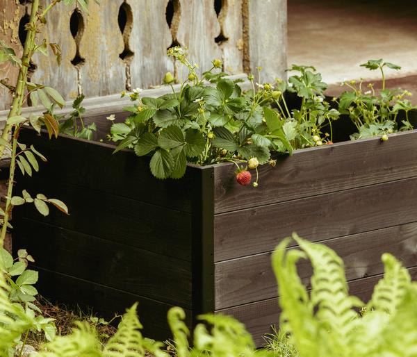 Upyard Holz-Hochbeet GardenBox I-Box, ca.