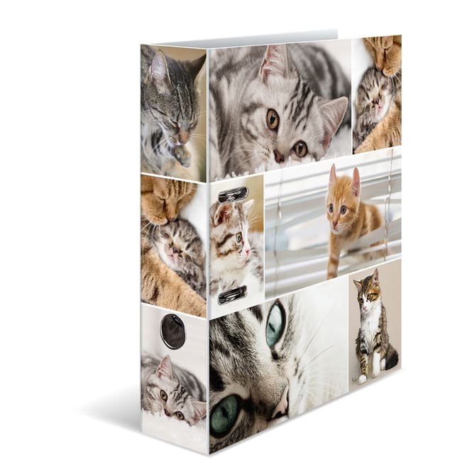 Ordner DIN A4 - Herma -  Katzen