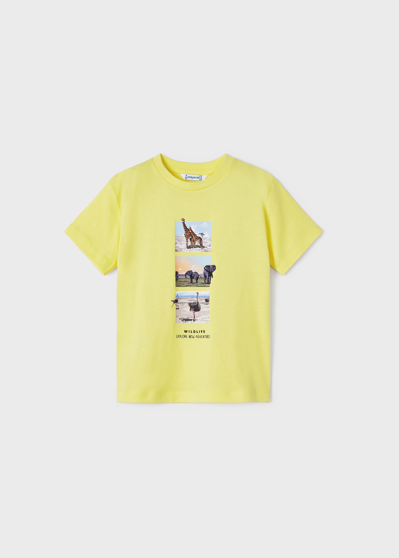 Conjunto de 2 camisetas de manga curta em algodão sustentável para meninos