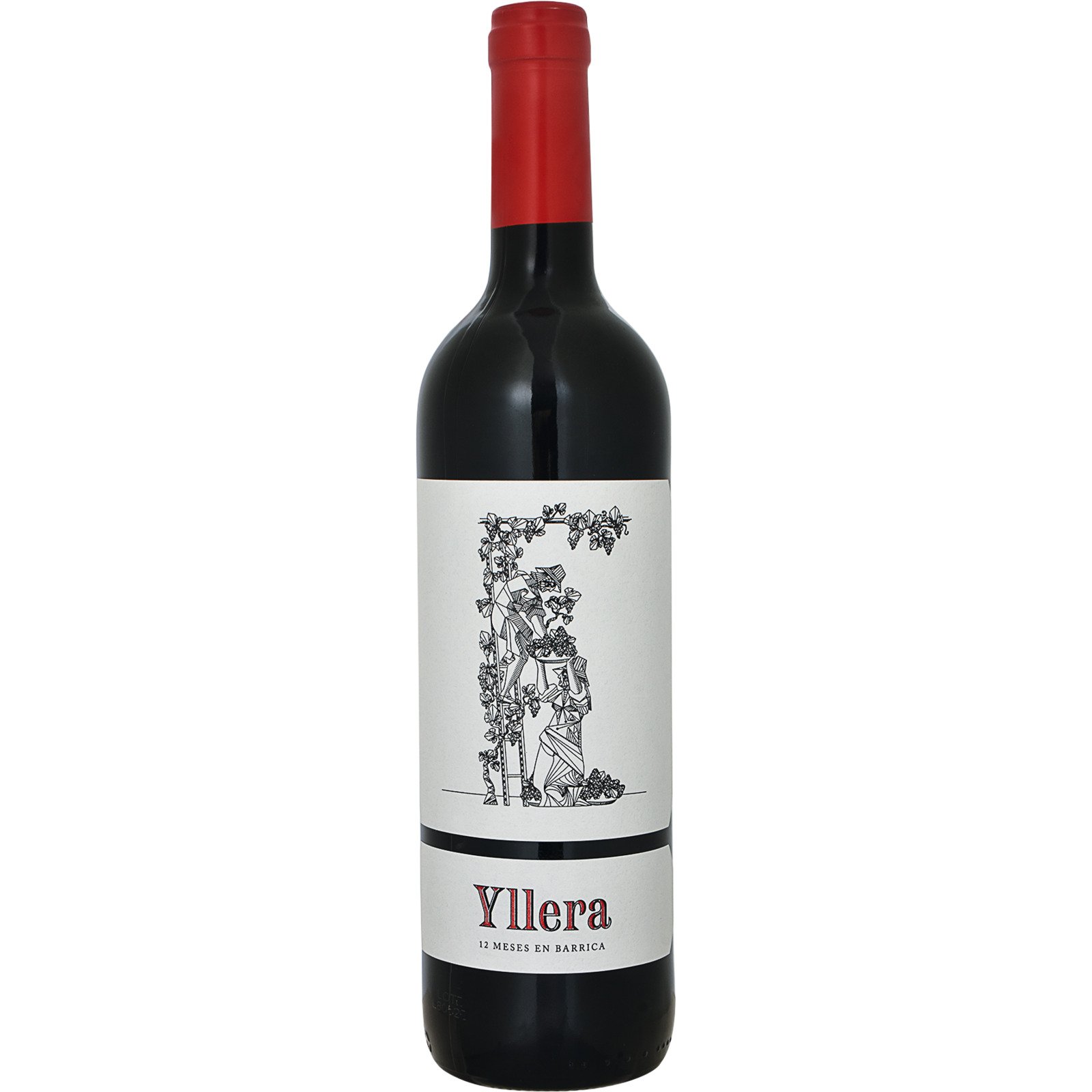 Yllera 12 meses en barrica 75 cl