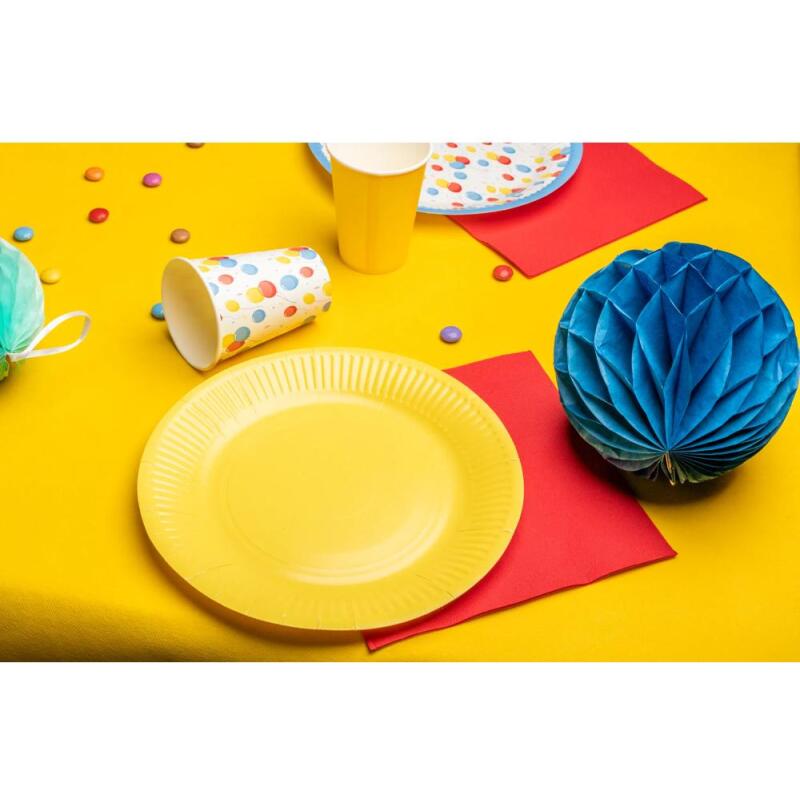 20 Assiettes en carton rondes, 23 cm