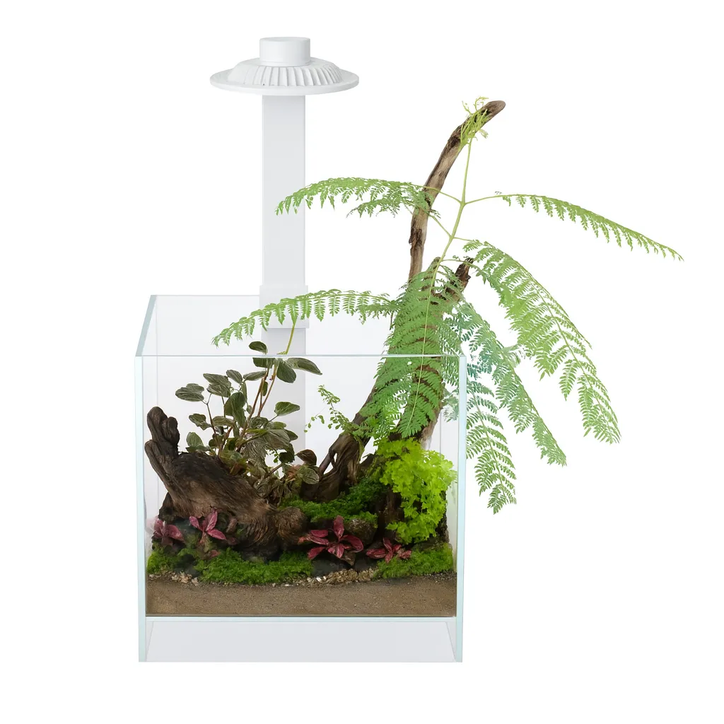 AquastoreXL Wabi Kusa Open Plantenterrarium LED Wit