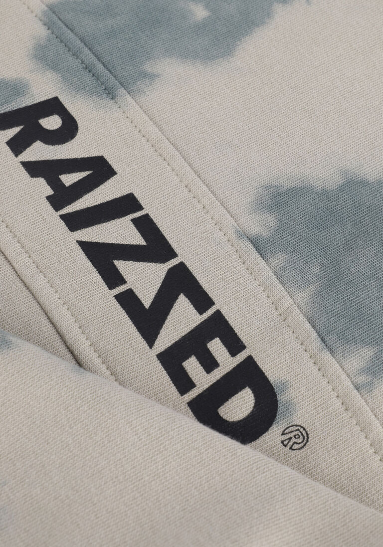 RAIZZED groene raizzed trui mercer